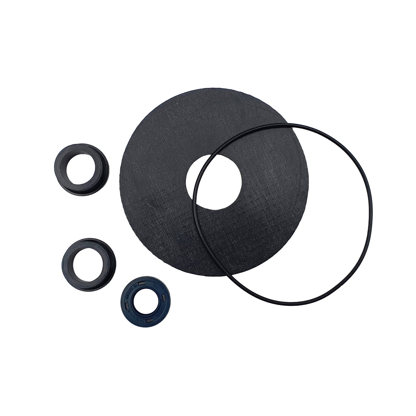 Pump Part Rover Seal Kit to Suit BE-M 20